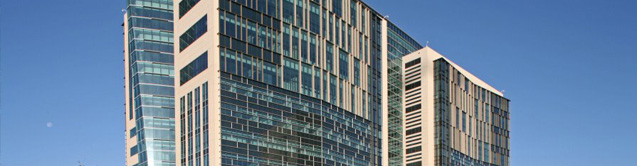 The Mace Firm Miami The Mace Firm Miami